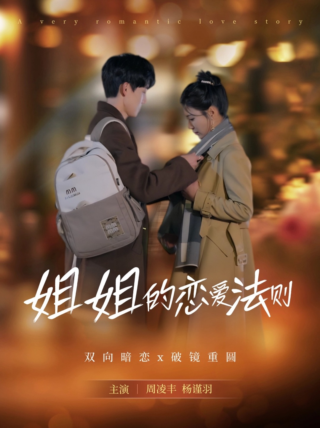 姐姐的恋爱法则海报