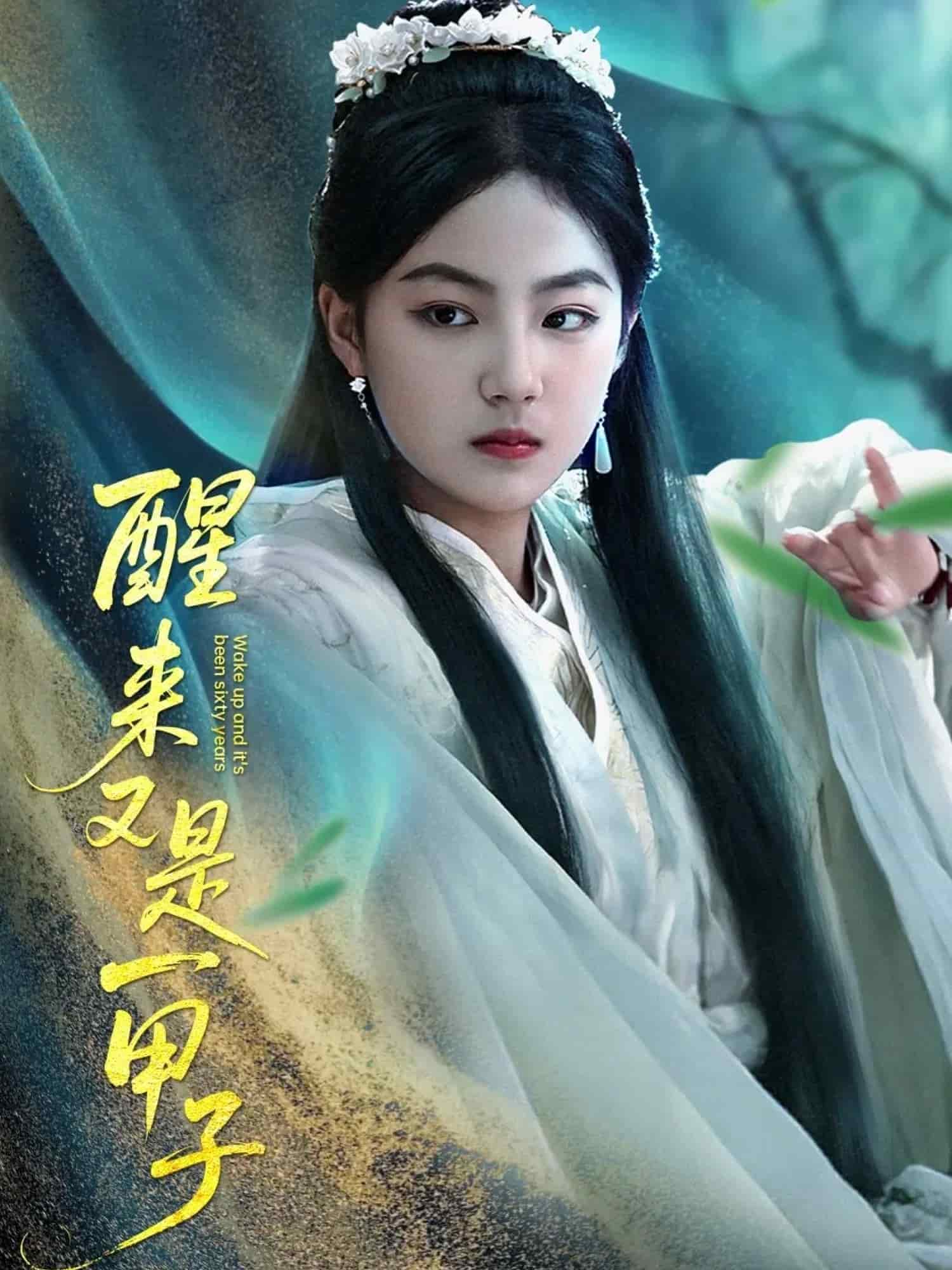 醒来又是一甲子海报