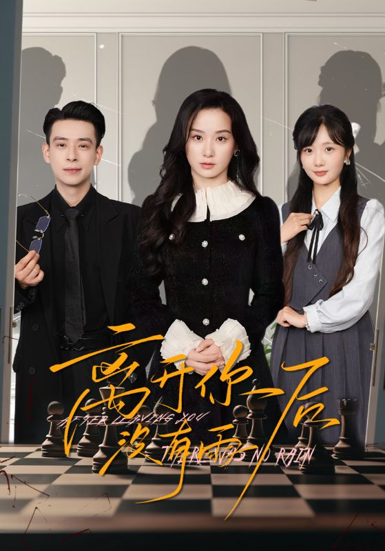 离开你后没有雨海报