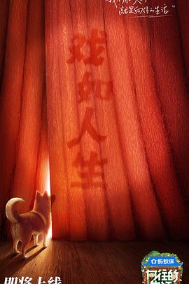 向往的生活第八季海报