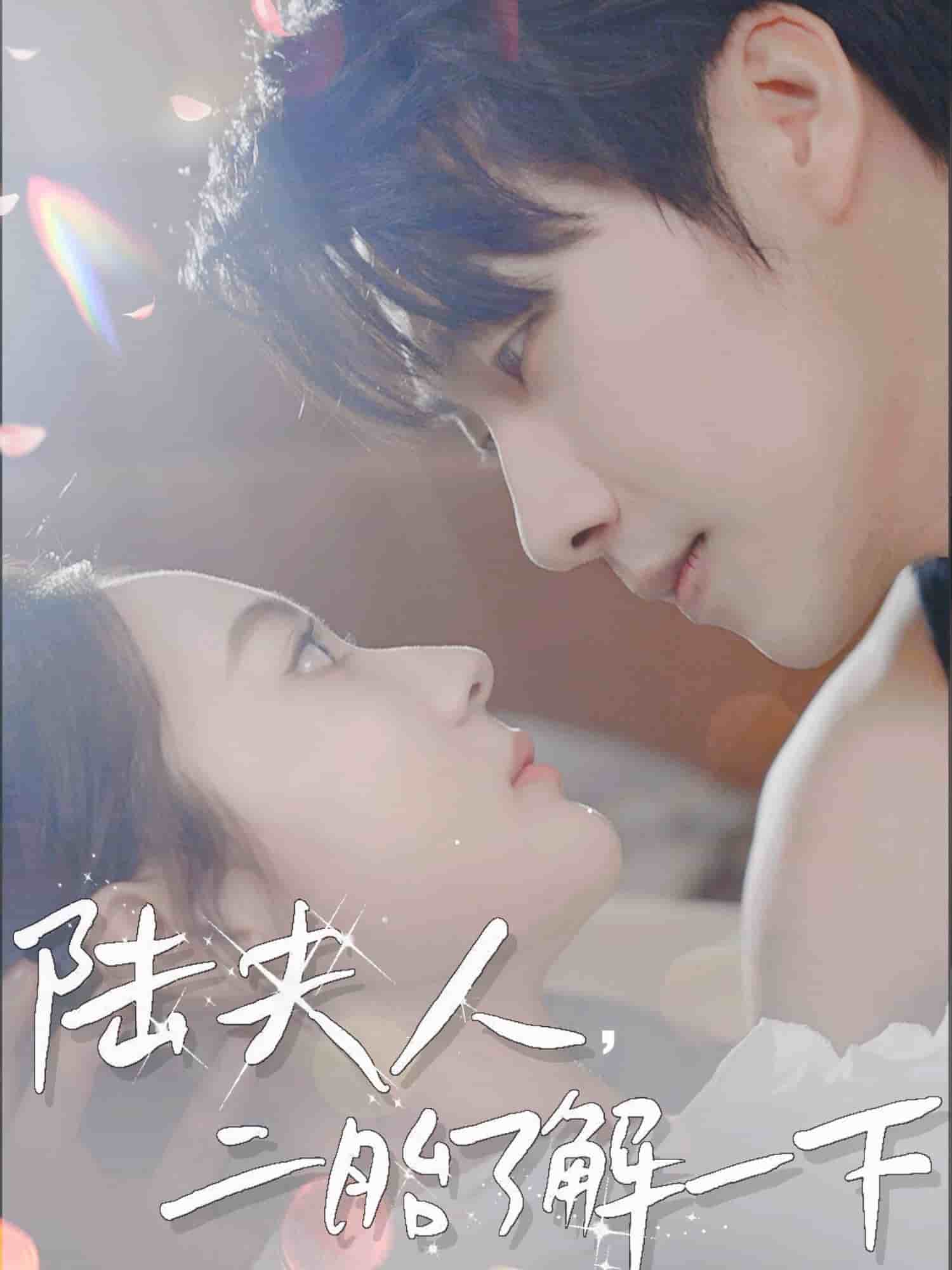 陆夫人，二胎了解一下海报