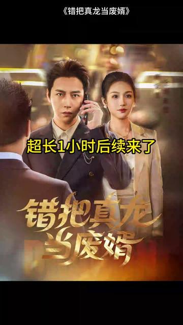 错把真龙当赘婿海报