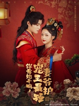 你惹她干嘛，宠妻王爷最护短海报