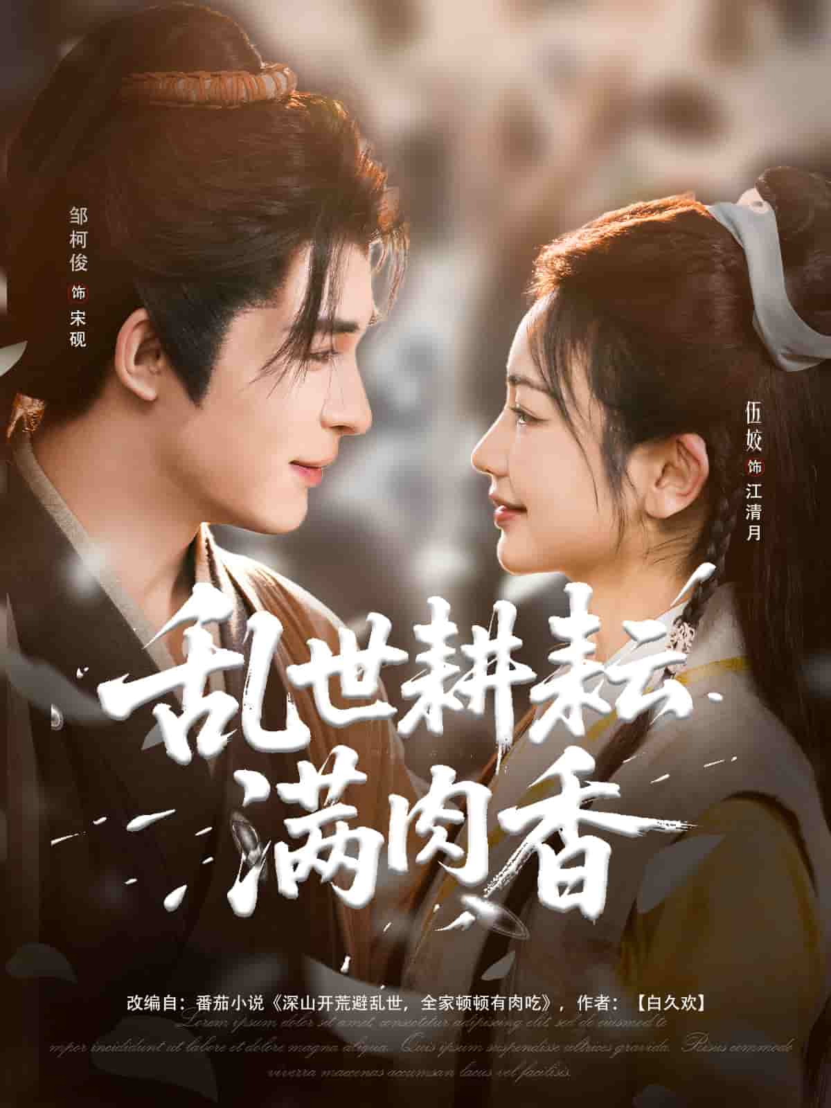 乱世耕耘满肉香海报