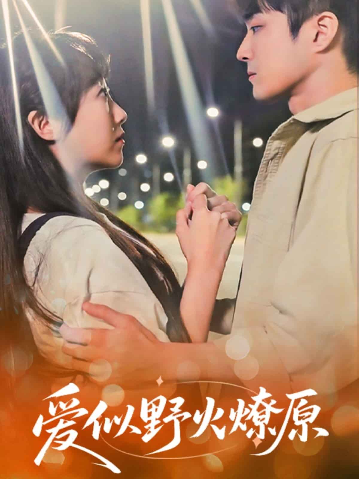 爱似野火燎原海报