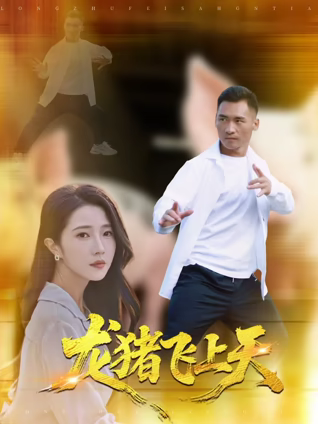龙猪飞上天海报