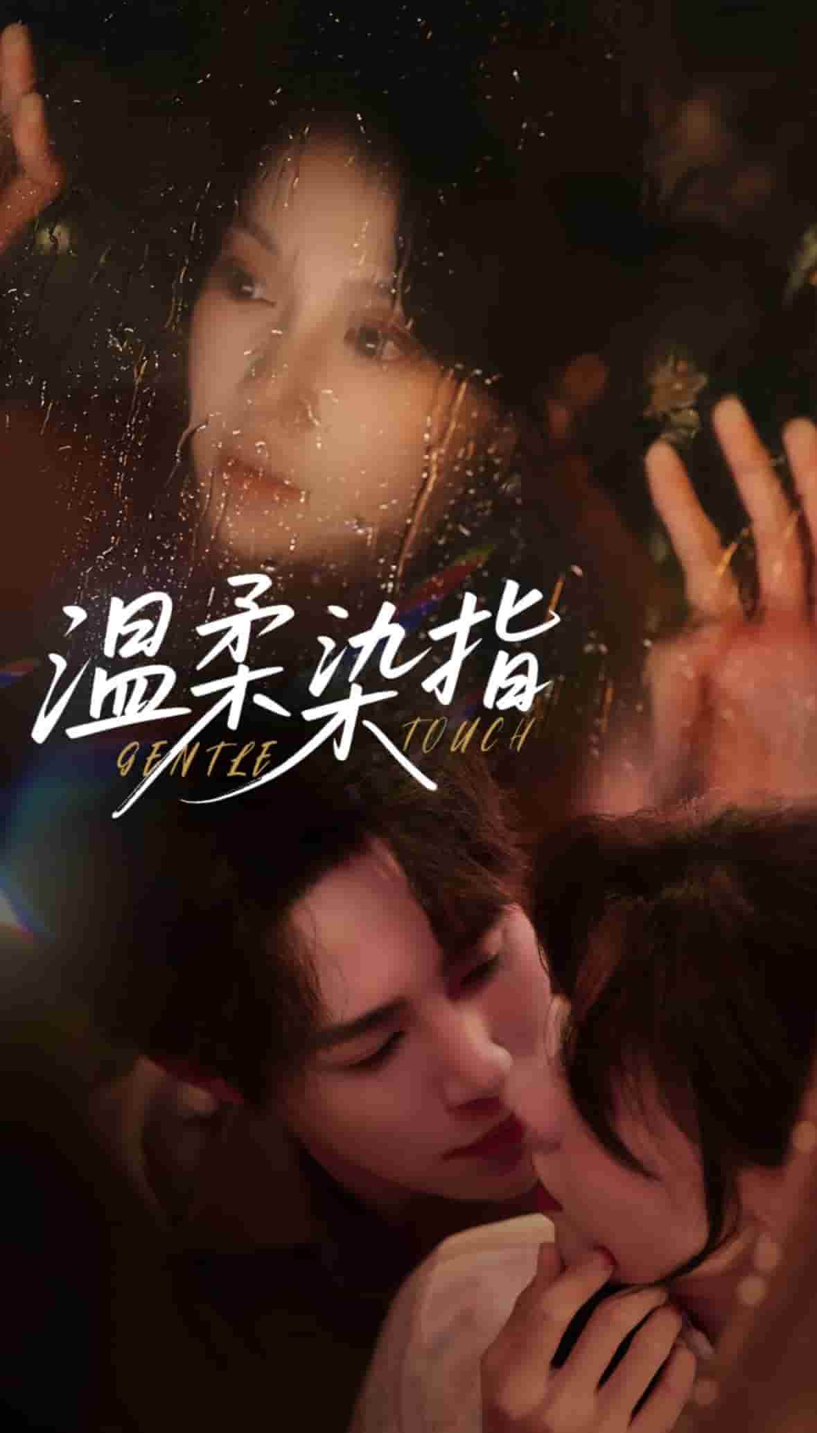 温柔染指海报