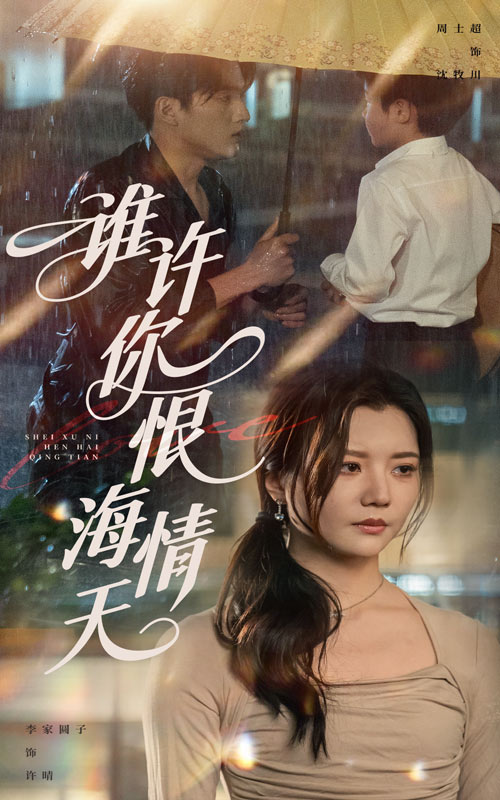 谁许你恨海情天海报