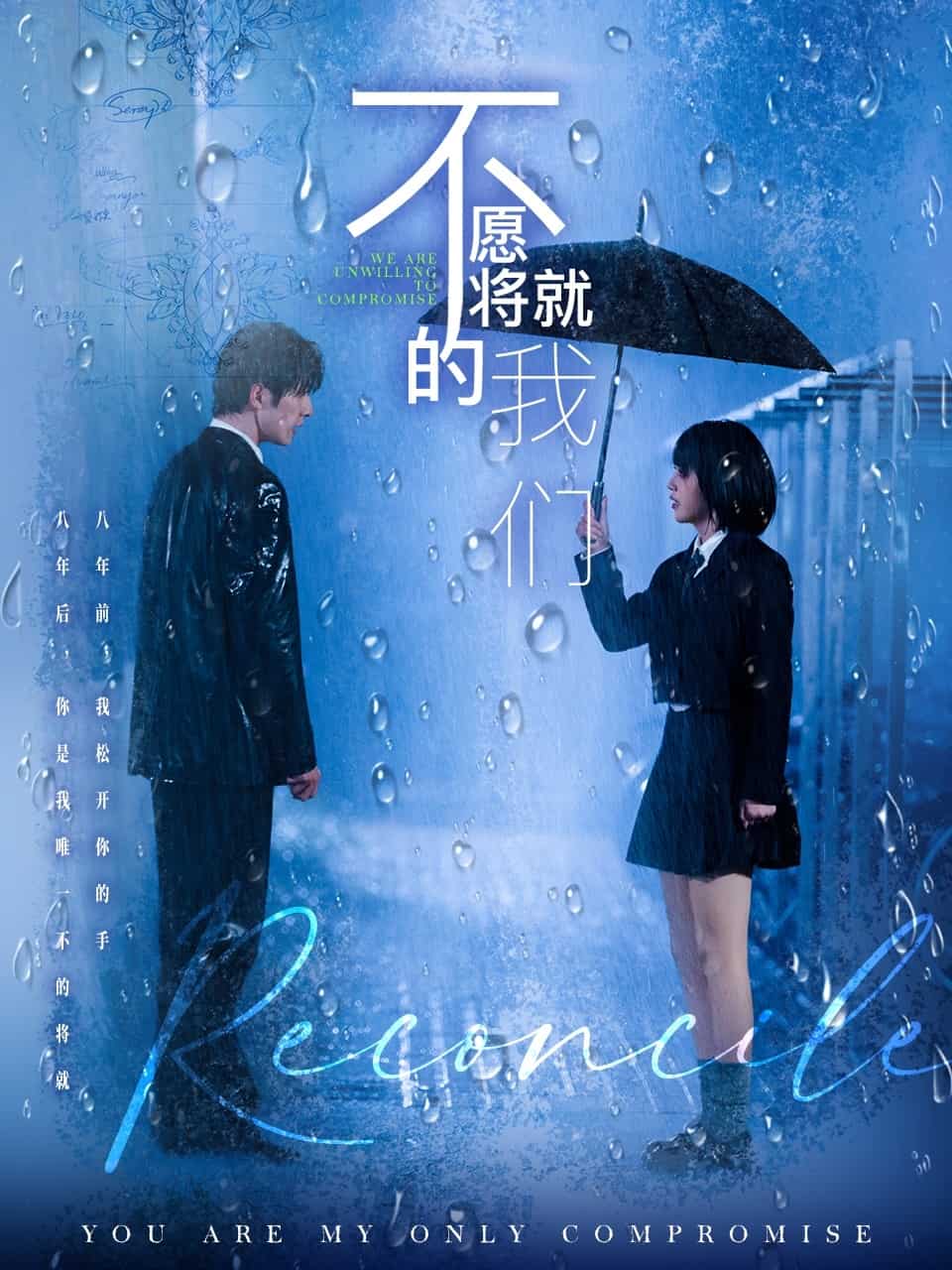 不愿将就的我们海报