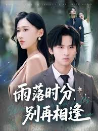 雨落时分别再相逢海报