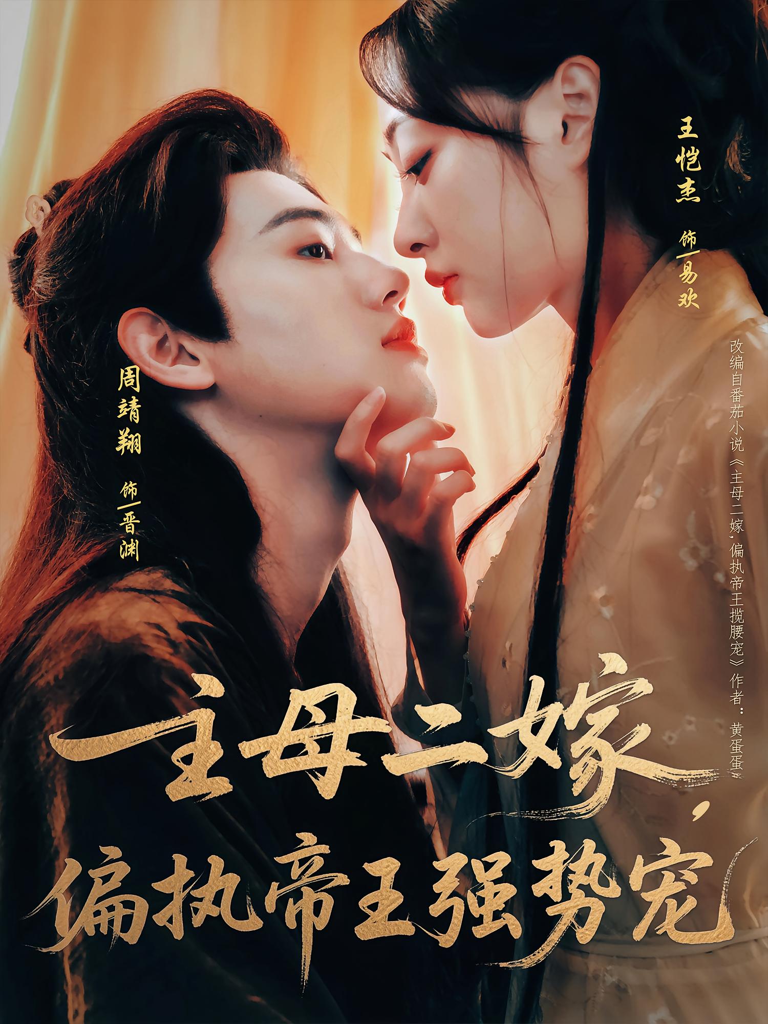主母二嫁偏执帝王强势宠海报