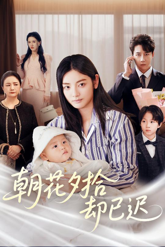 朝花夕拾却已迟海报