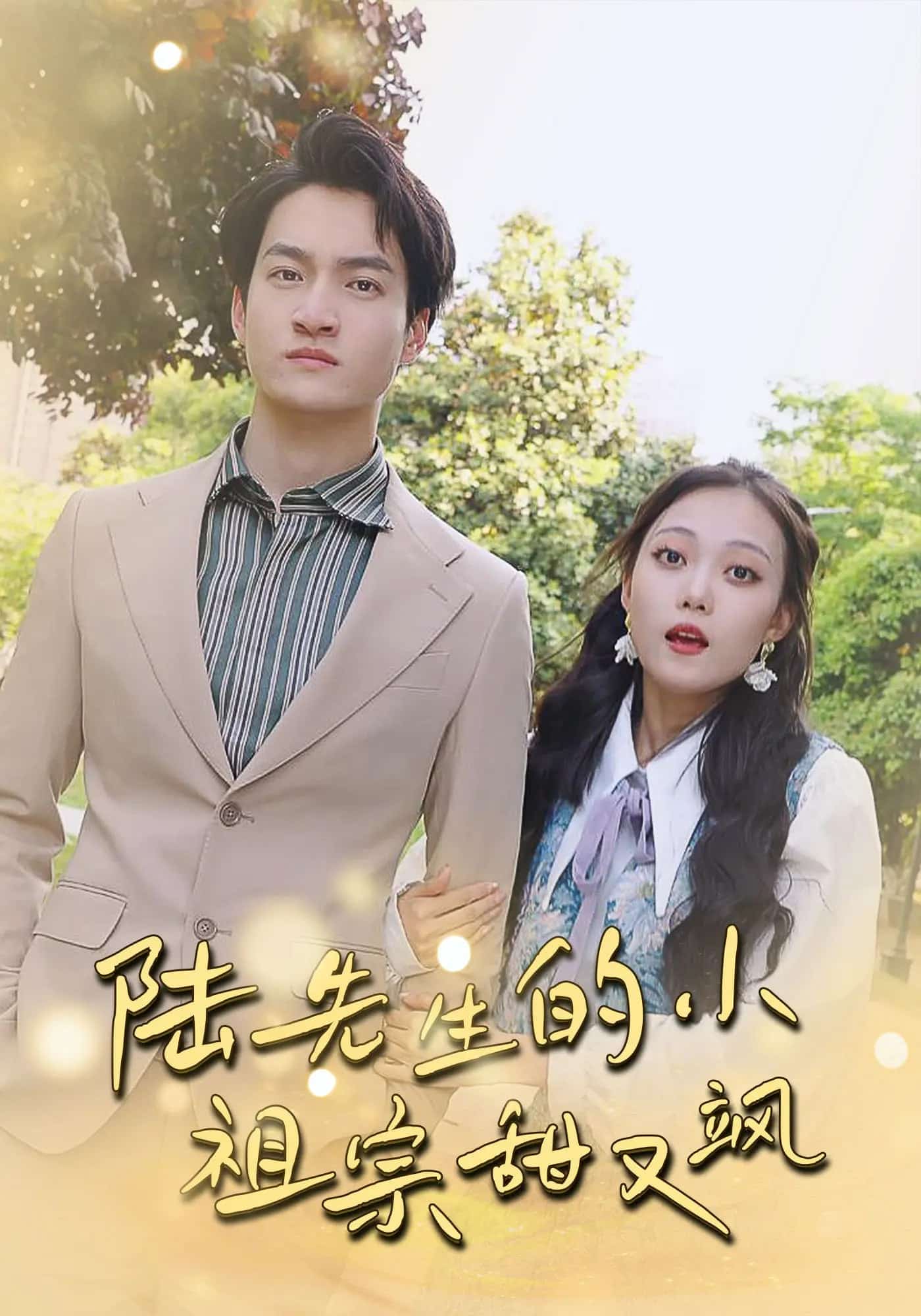 陆先生的小祖宗甜又飒海报