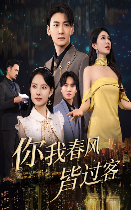 你我春风皆过客海报