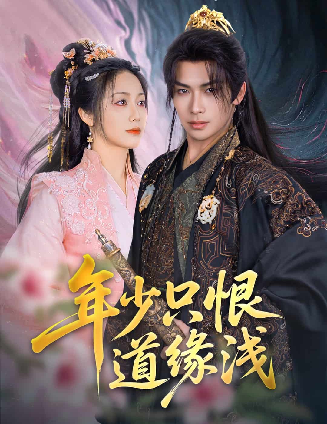 年少只恨道缘浅海报