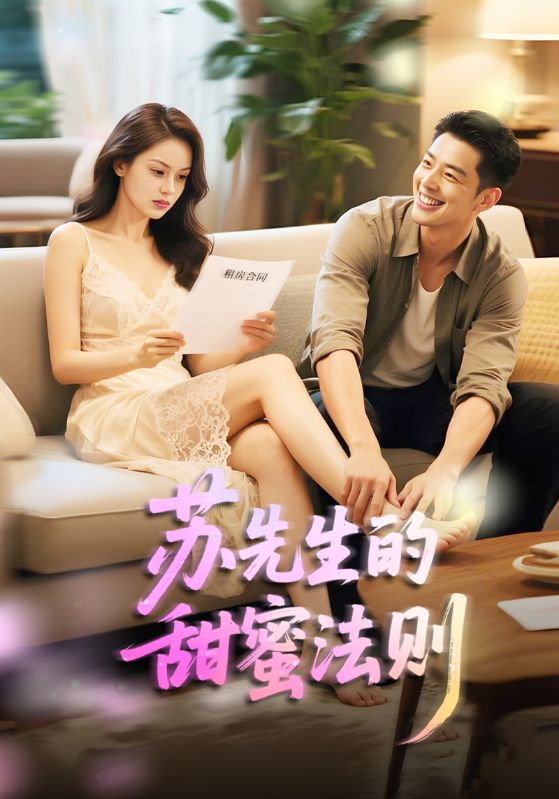 苏先生的甜蜜法则海报