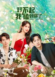 对不起我磕到你了海报