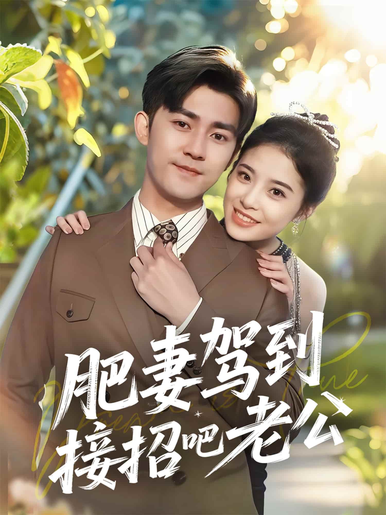 肥妻驾到接招吧老公海报