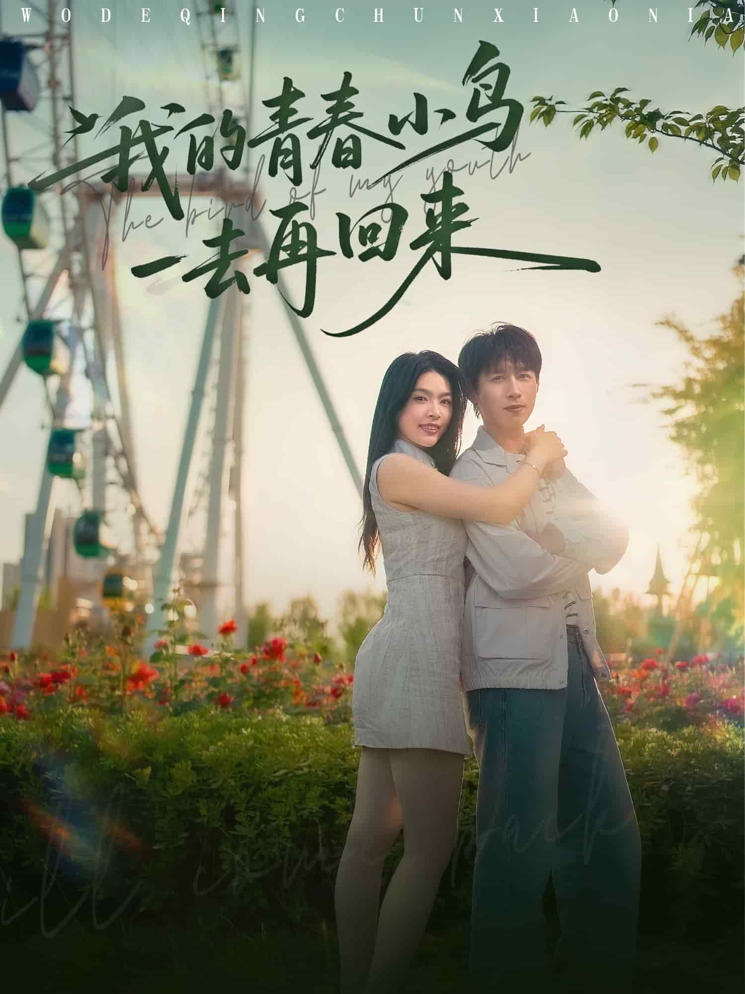 我的青春小鸟一去再回来海报