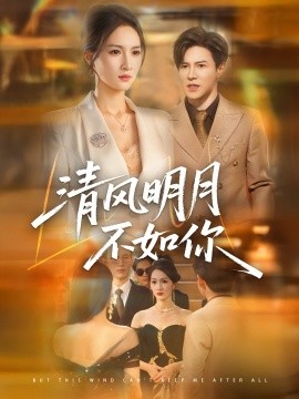 清风明月不如你海报