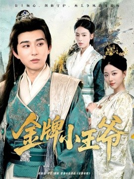 金牌小王爷海报