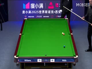 2025斯诺克西安大奖赛半决赛 威廉姆斯6-3丹尼尔-威尔斯（朱蒙） 20251012海报