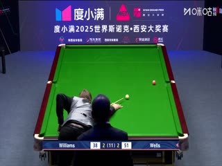 2025斯诺克西安大奖赛半决赛 威廉姆斯6-3丹尼尔-威尔斯 20251012海报