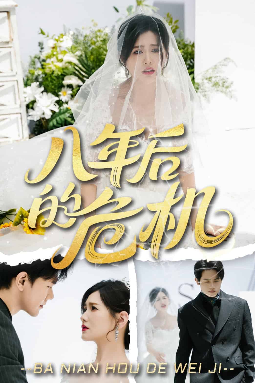 八年后的危机海报