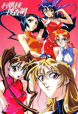 大小姐搜查网海报