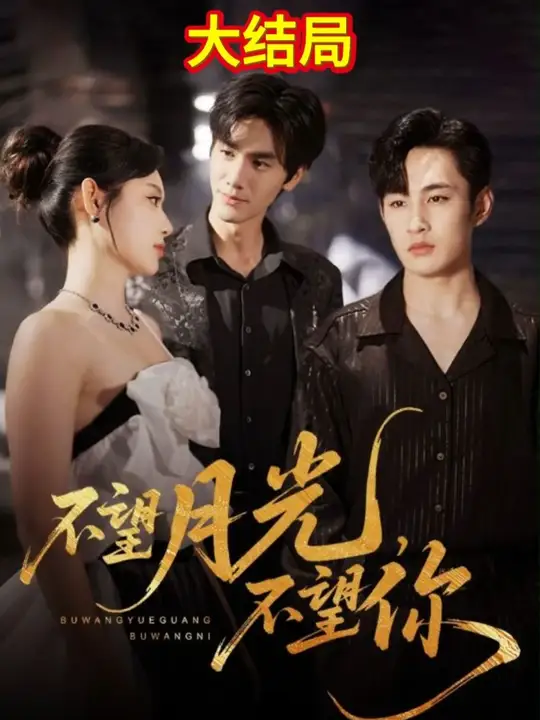 不望月光不望你海报