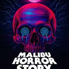 马里布录像带海报