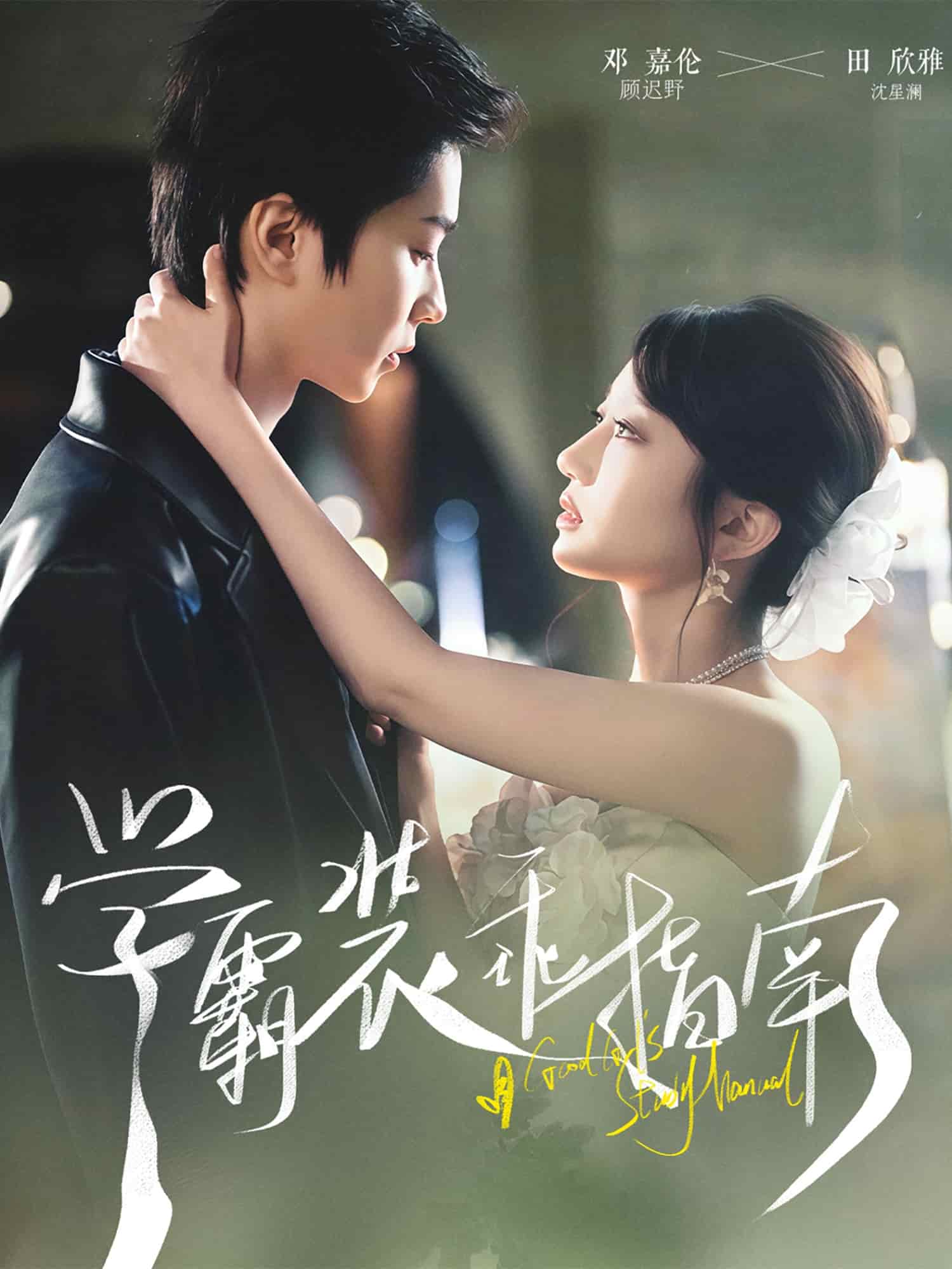 学霸装乖指南海报