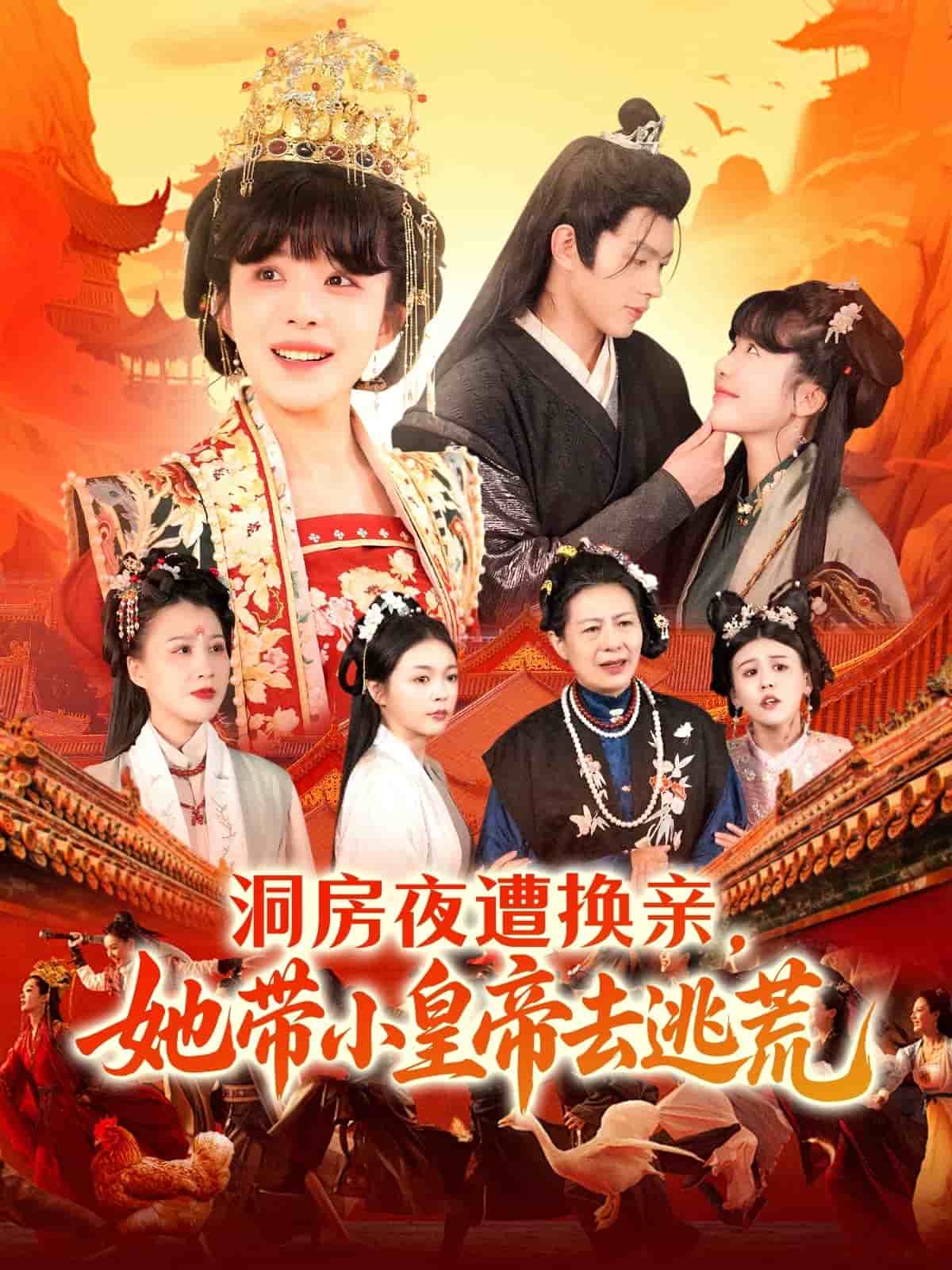 洞房夜遭换亲，她带小皇帝去逃荒海报