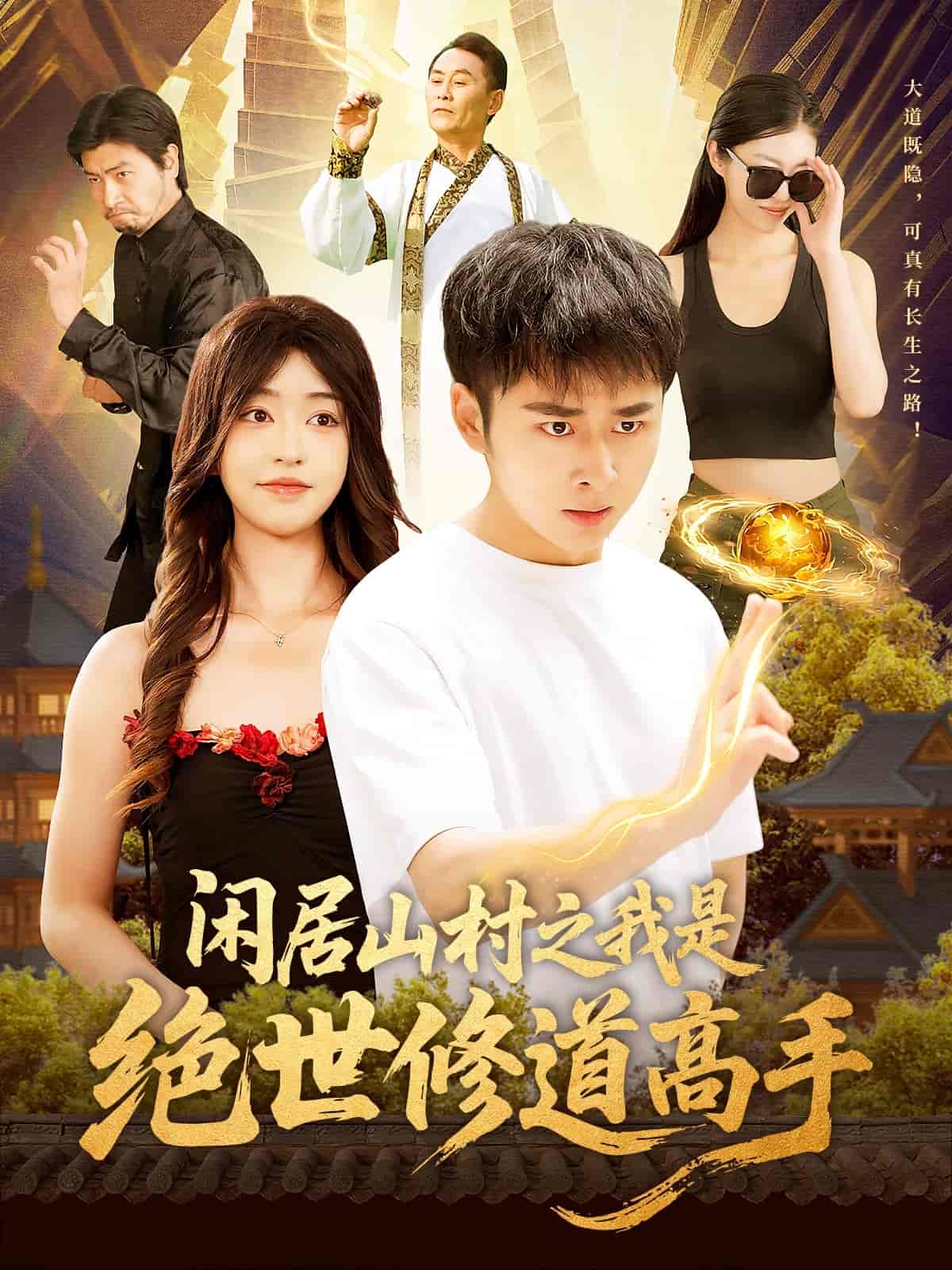 闲居山村之我是绝世修道高手海报