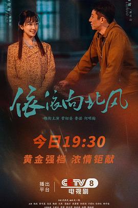 依依向北风海报