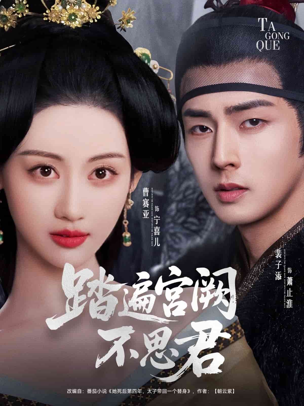 踏遍宫阙不思君海报