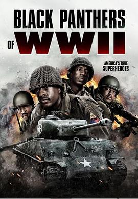 二战黑豹海报