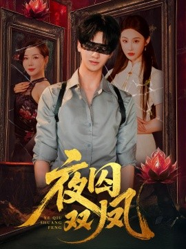 夜囚双凤海报
