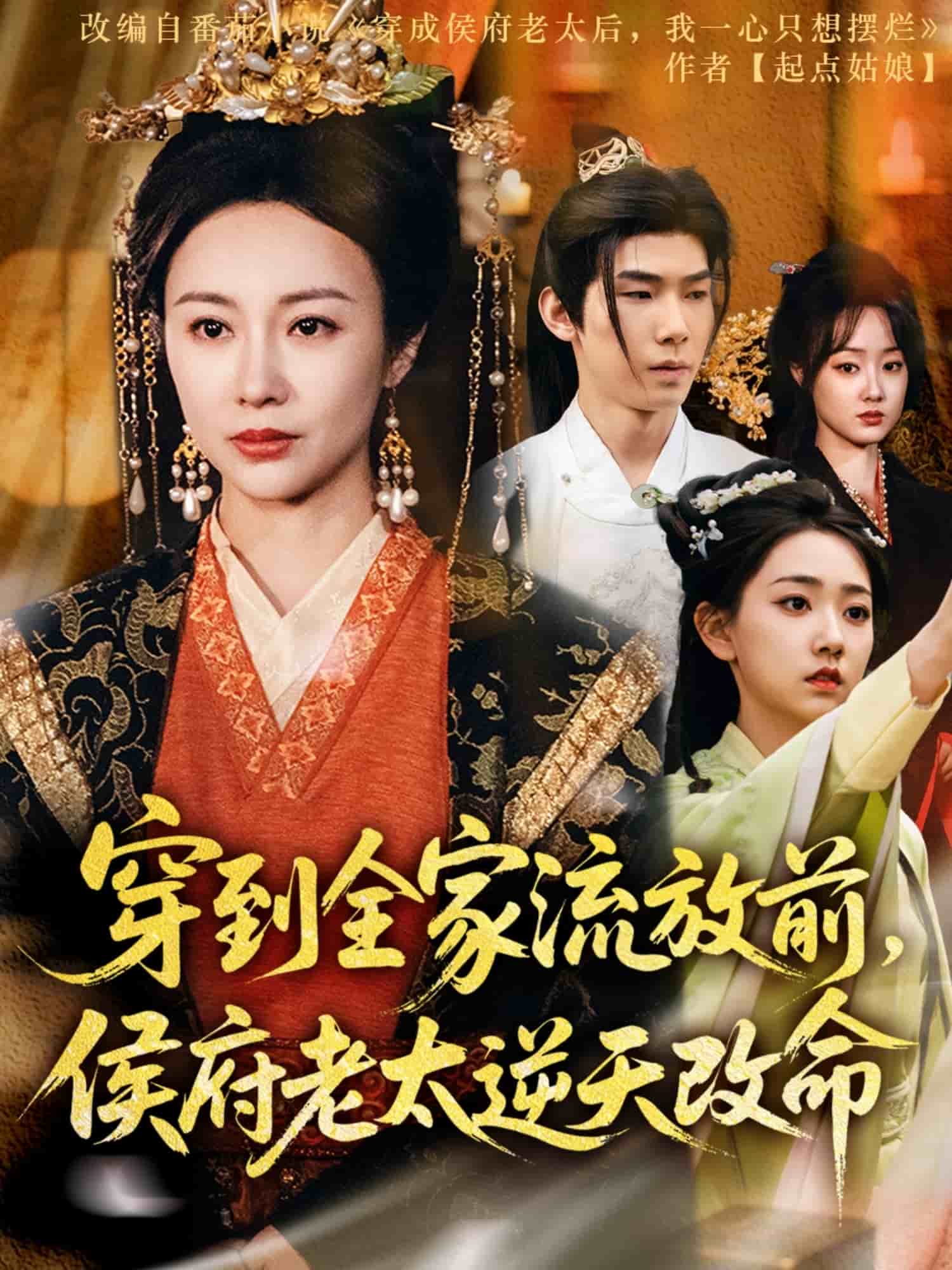 穿到全家流放前，侯府老太逆天改命海报