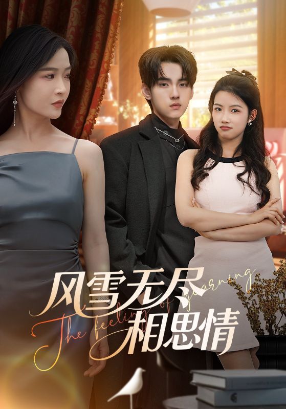 风雪无尽相思情海报