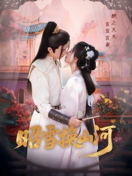 昭雪换山河海报