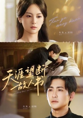 天涯望断故人书海报