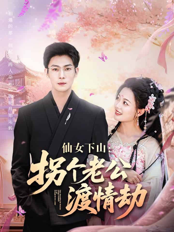 仙女下山拐个老公渡情劫海报