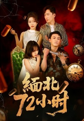 缅北72小时海报