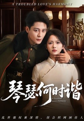 琴瑟何时谐海报