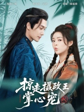 掠走摄政王掌心宠海报