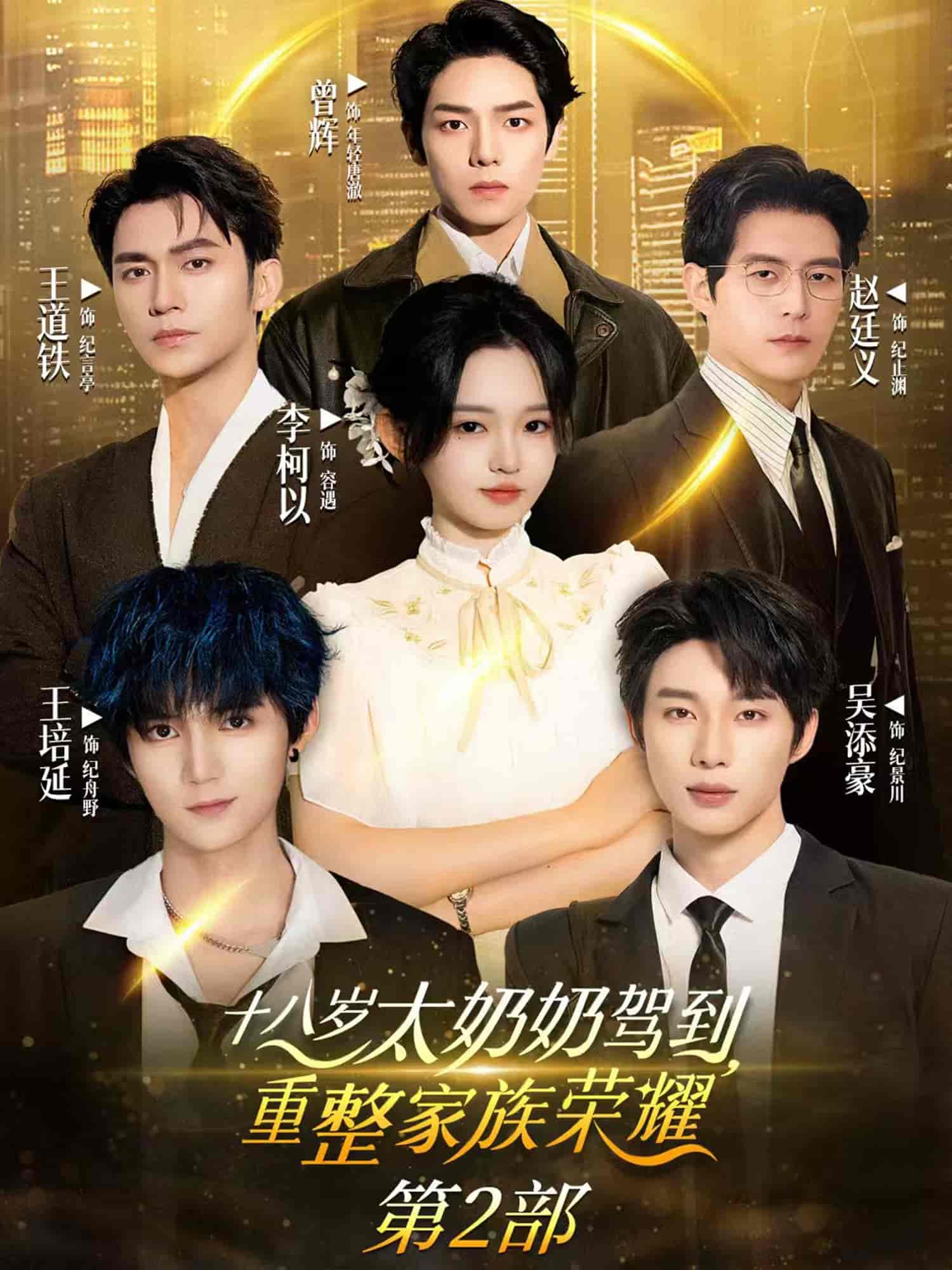 十八岁太奶奶驾到，重整家族荣耀2海报