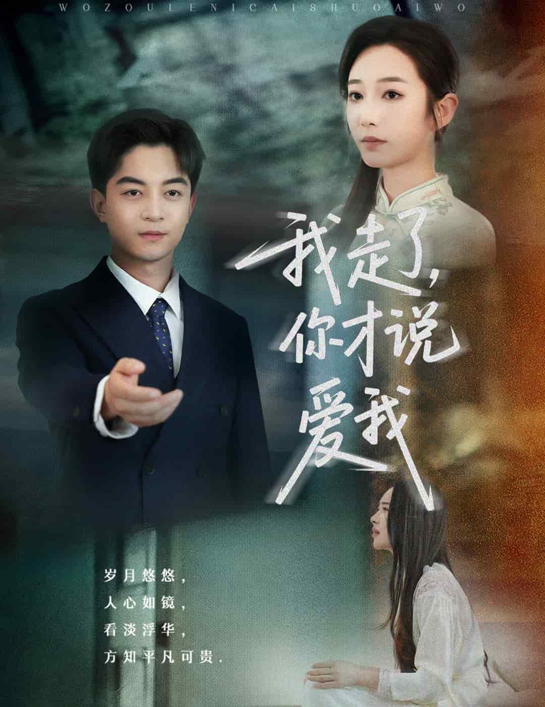 我走了你才说爱我海报