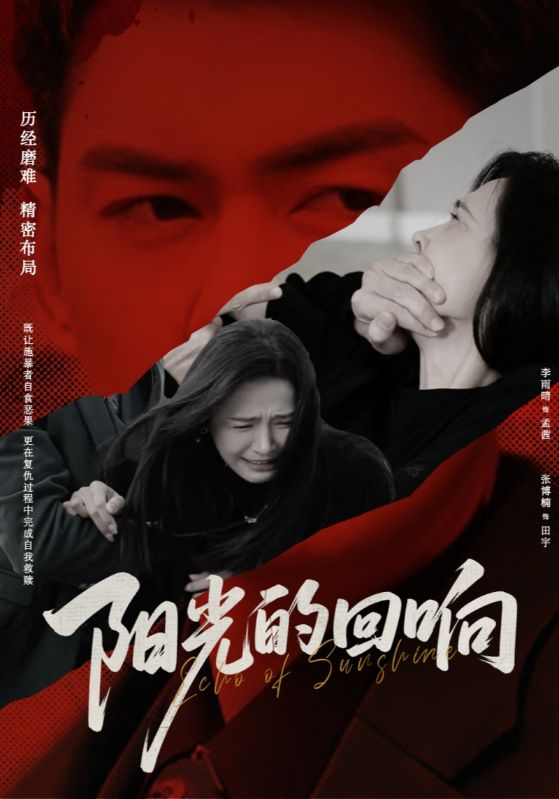 阳光的回响海报