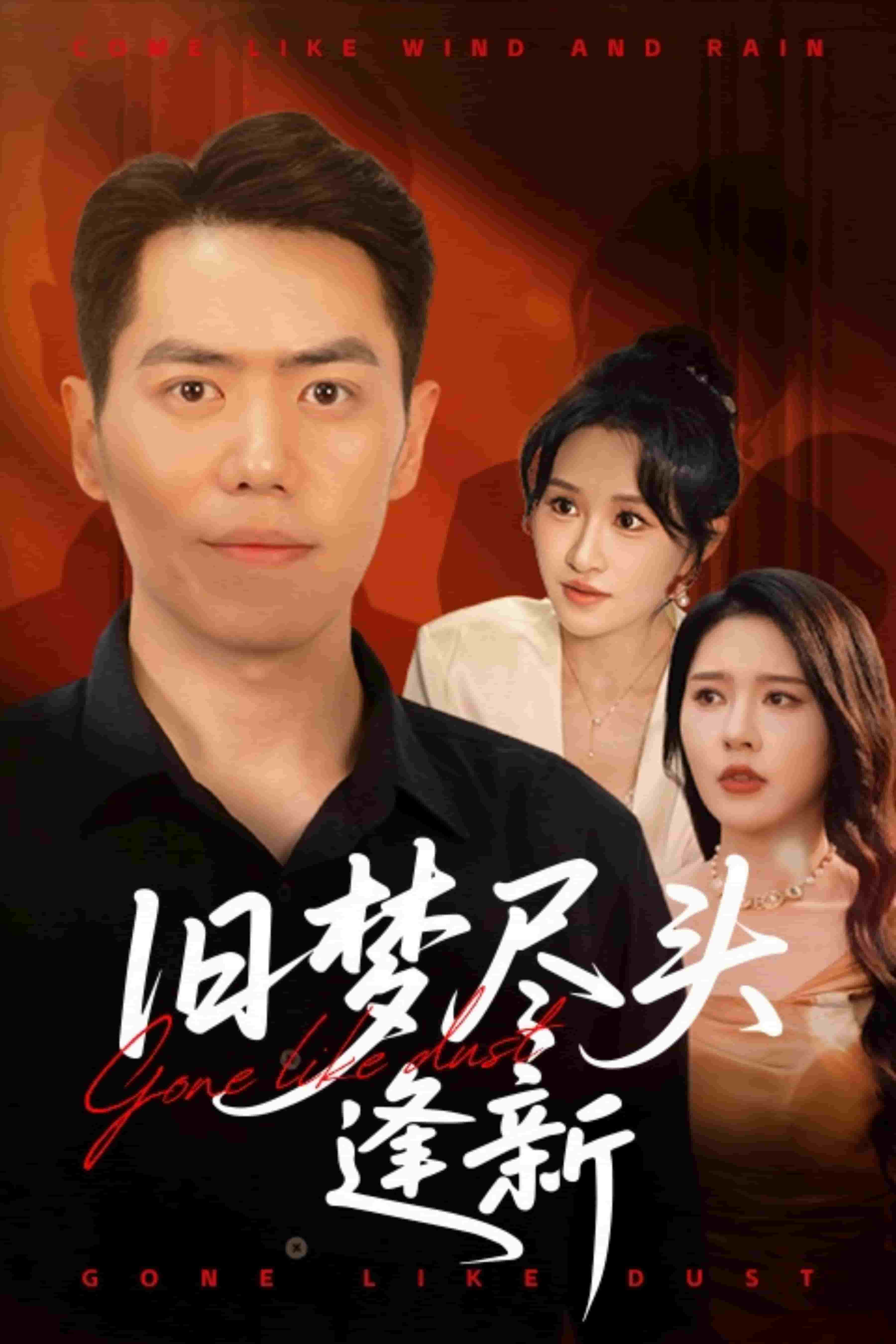 旧梦尽头逢新海报